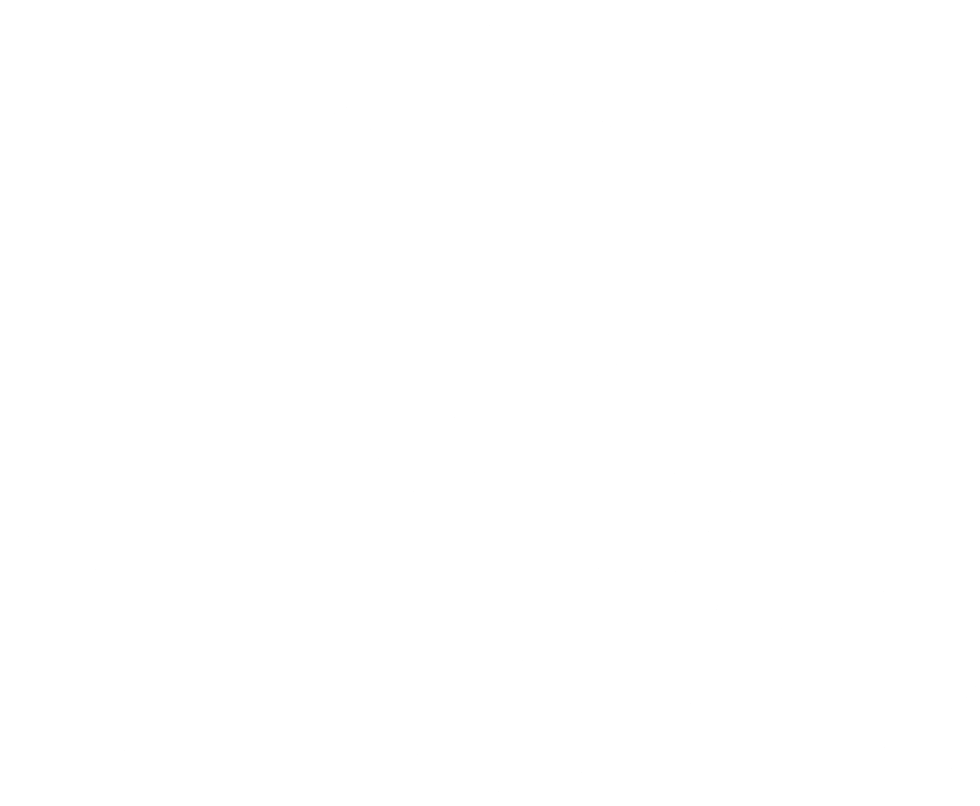 Shinwari Imports